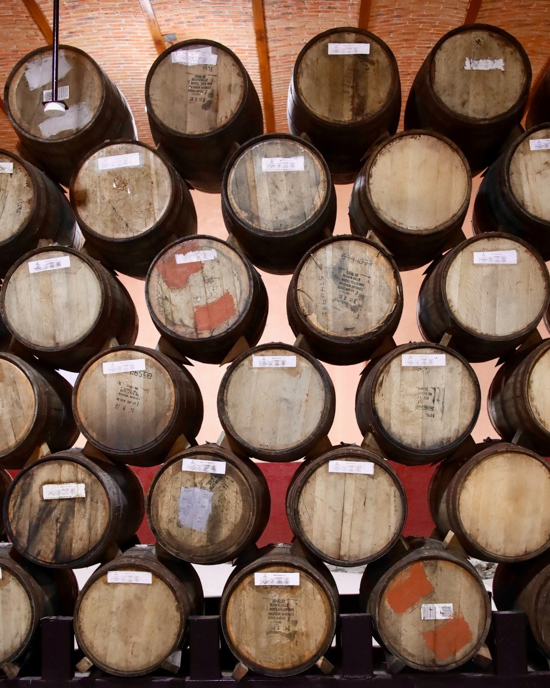 Walk through the distillery and you feel it happening: the agave changing, the tanks breathing, the barrels waiting their turn 🌾⚙️
Nothing here is rushed. Everything has a purpose.

Read more about Ibika online (link in bio)

#ibikatequila #tequilab