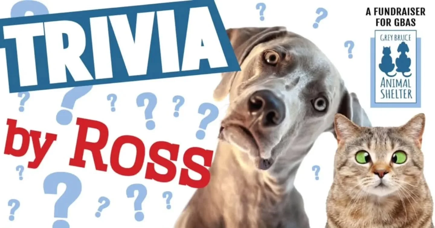 *** FUNDRAISER ALERT ***

Join us for a night of fun and frivolity and show off everything you know, about nothing important, all in support of Grey Bruce Animal Shelter!

It&rsquo;s all happening at Heartwood on Thursday, May 22, 2025 with Trivia By