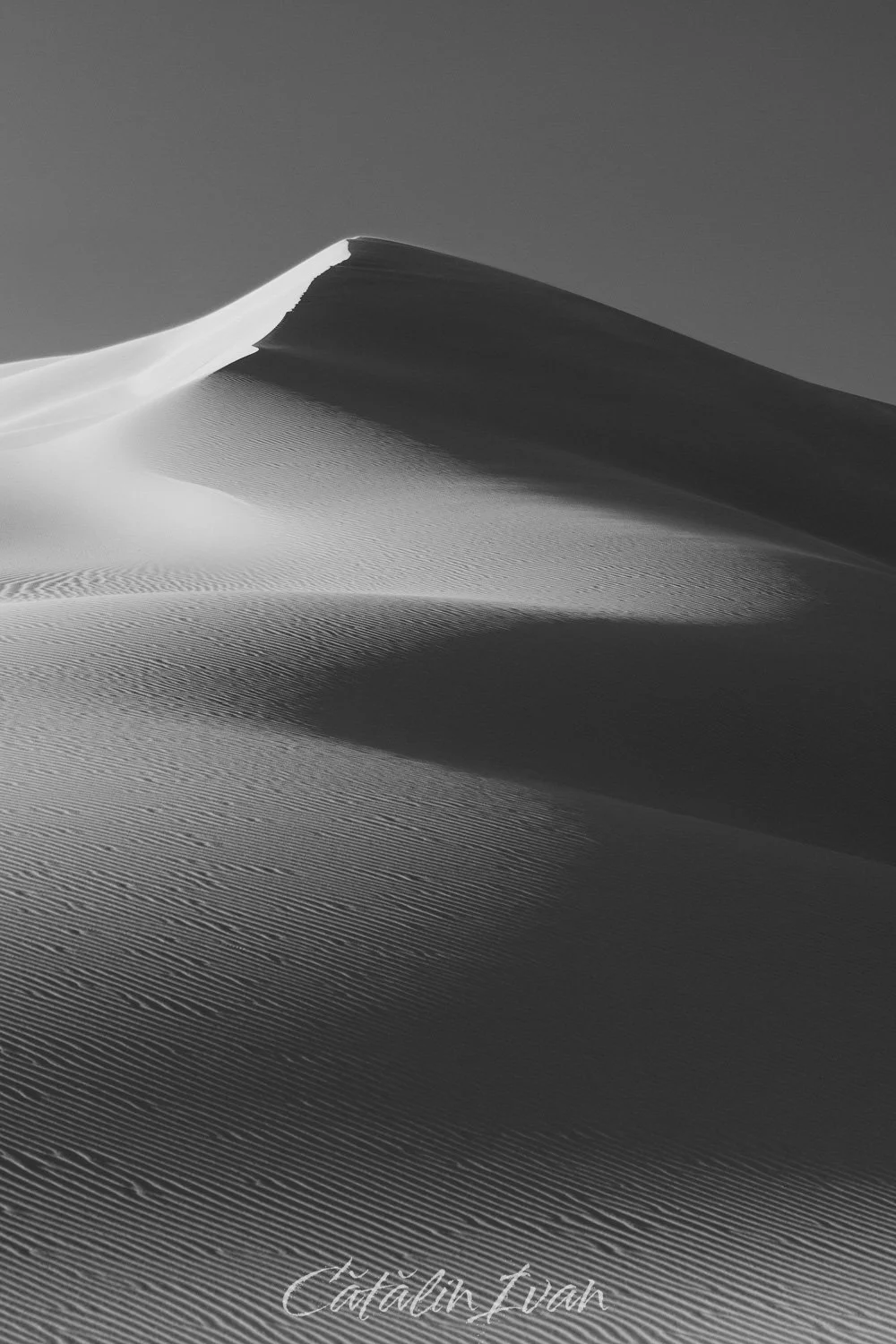 #29 - Sand Dunes (Website).jpg