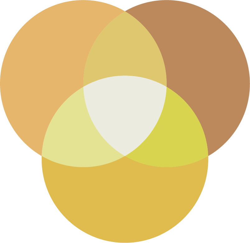 Asset 9.png