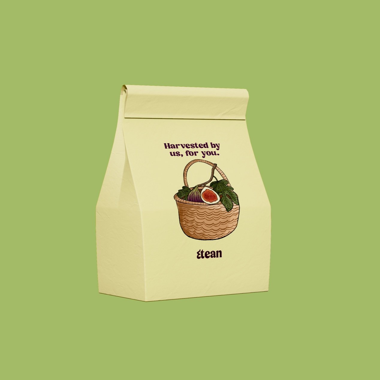 bag.jpg