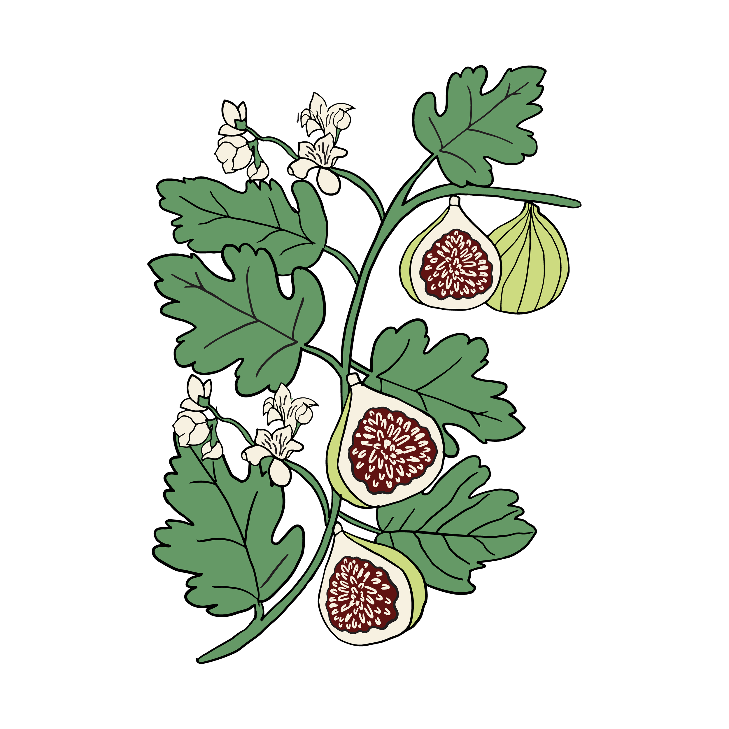 teanpattern-02.png