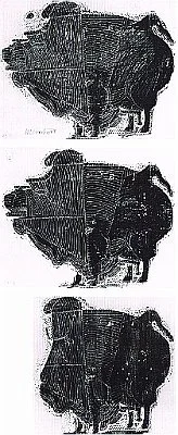 1954 - Stier - Zustand 1-3 - Holzschnitt - 48,5x61,6cm.jpg