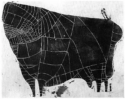 1951 - Stier - Holzschnitt - 64x86cm.jpg