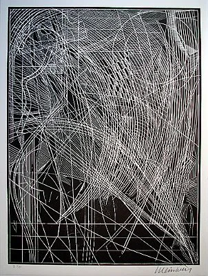 2002 - Spinnwebenplan - Zustand 1 - Holzschnitt - 84,5x64,5cm.jpg