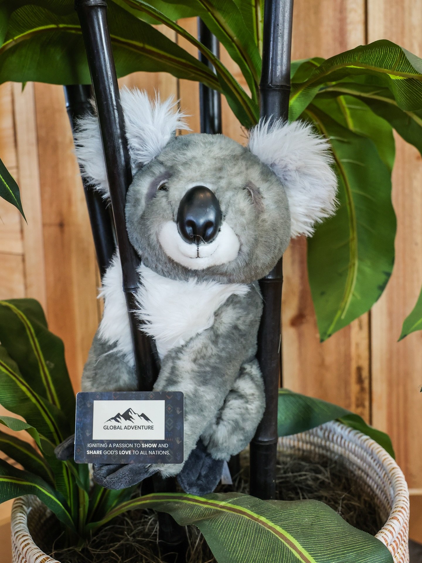 🎁🐨 Need a last-minute White Elephant gift? We&rsquo;ve got you! Give the gift of Adventure this Christmas.🕵️

Our koala friend says: grab a Global Adventure gift card&mdash;available at the front door of Global Adventure or down in the caf&eacute;