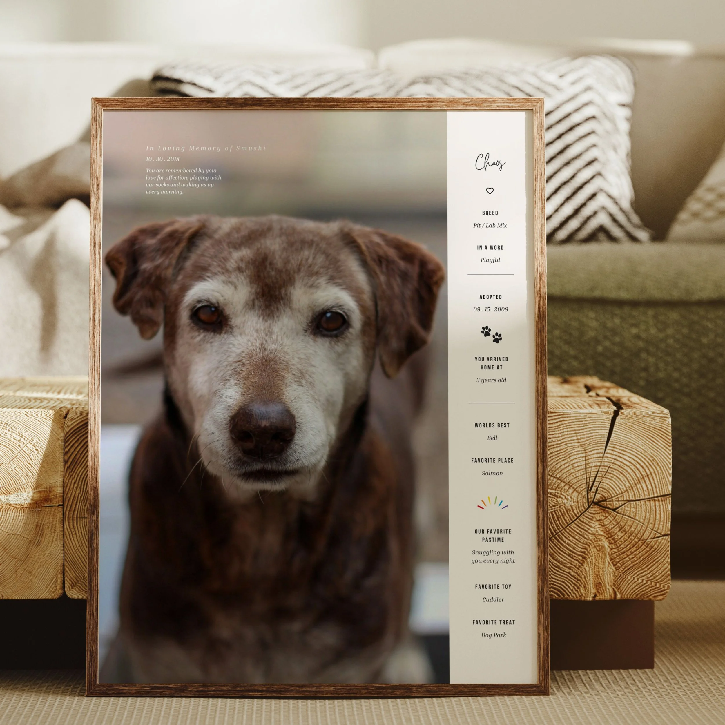 petmemorial (2).jpg