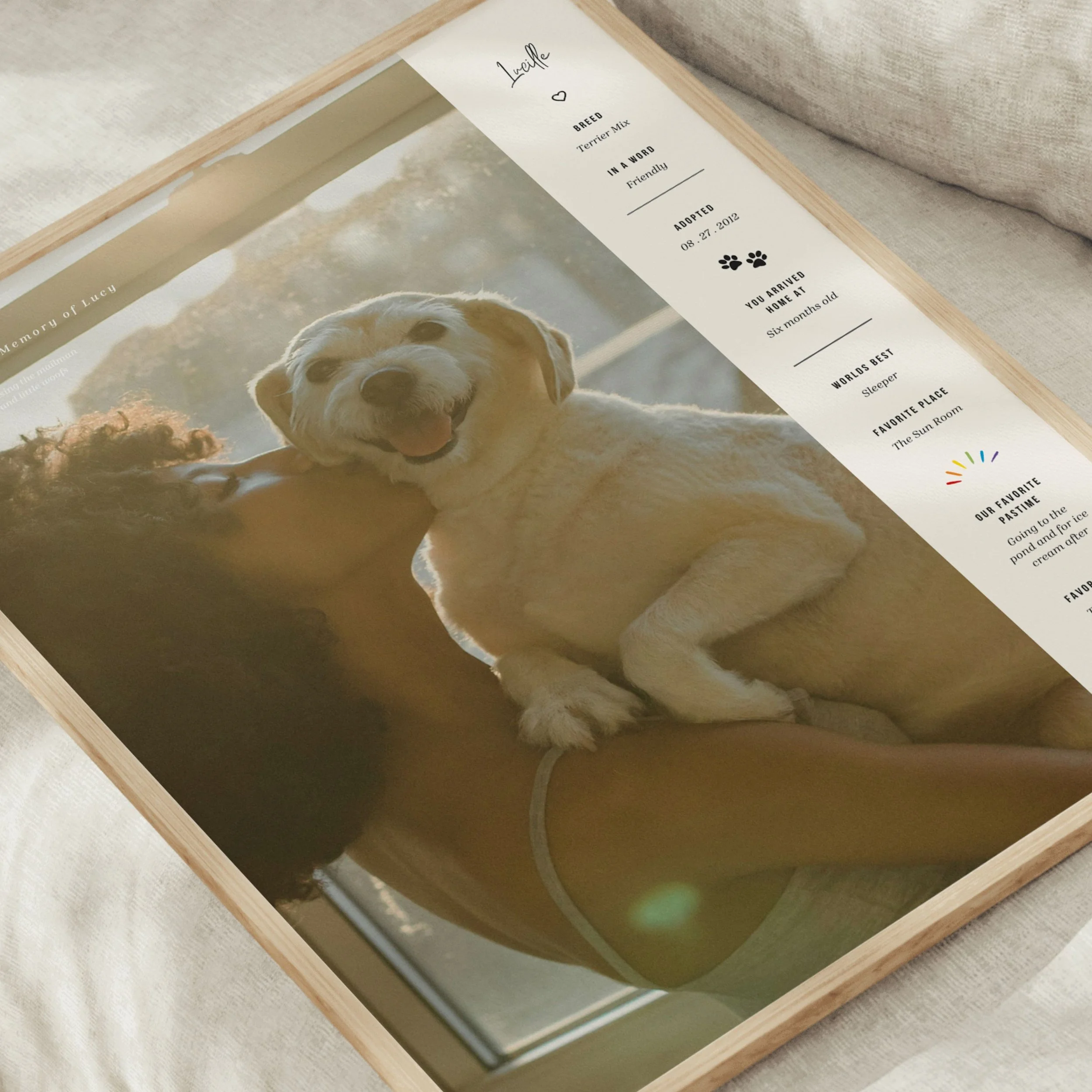 petmemorial (3).jpg