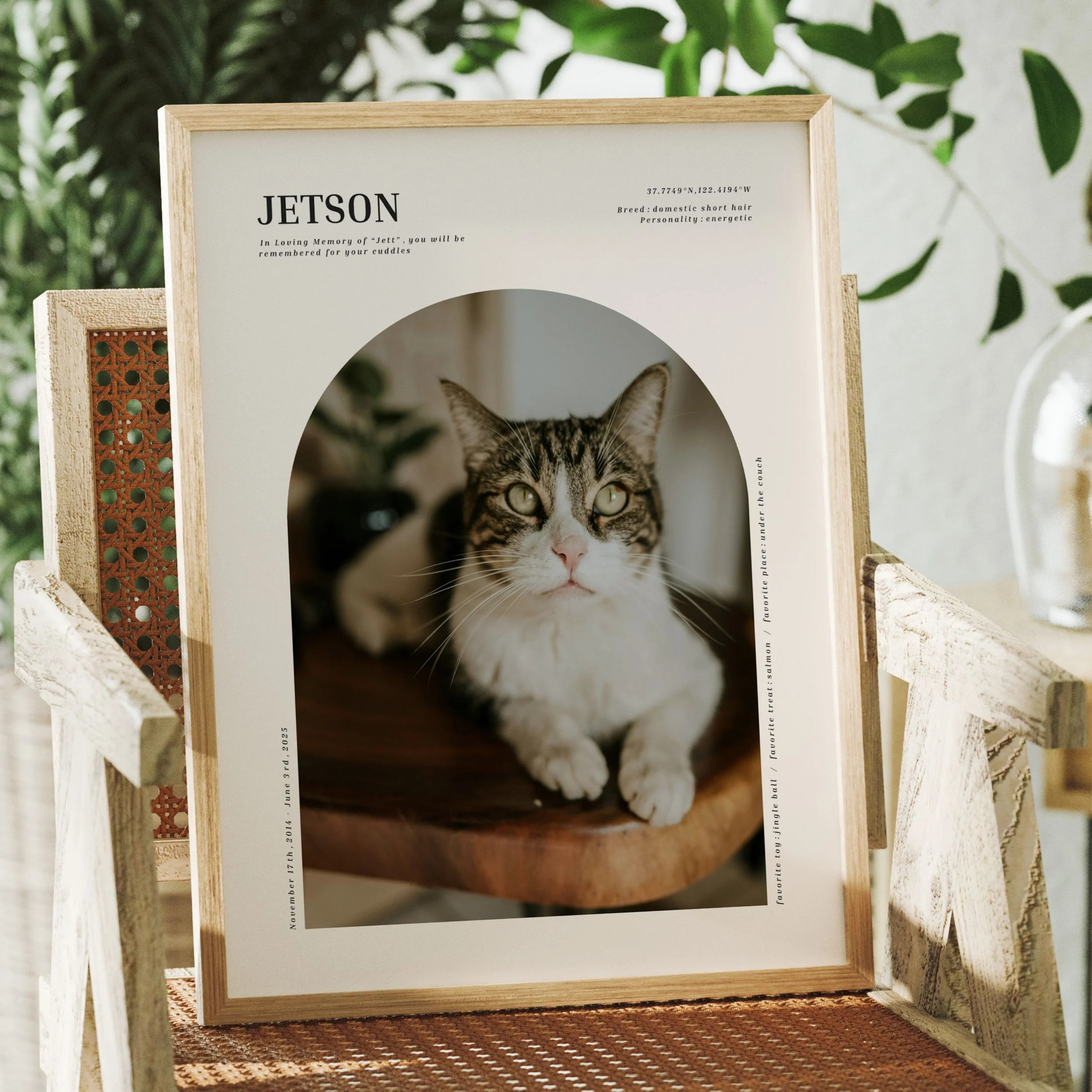PETMEMORIAL2.jpg