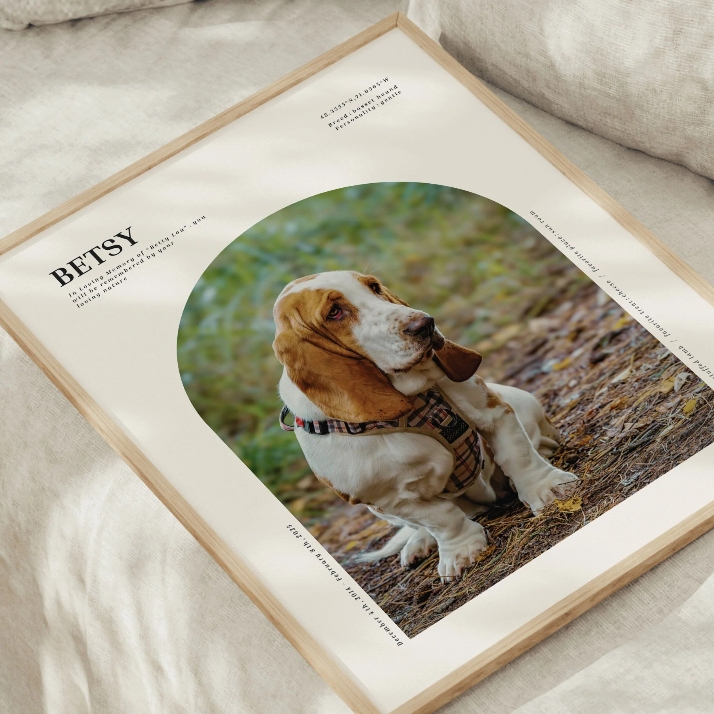 PETMEMORIAL1.jpg