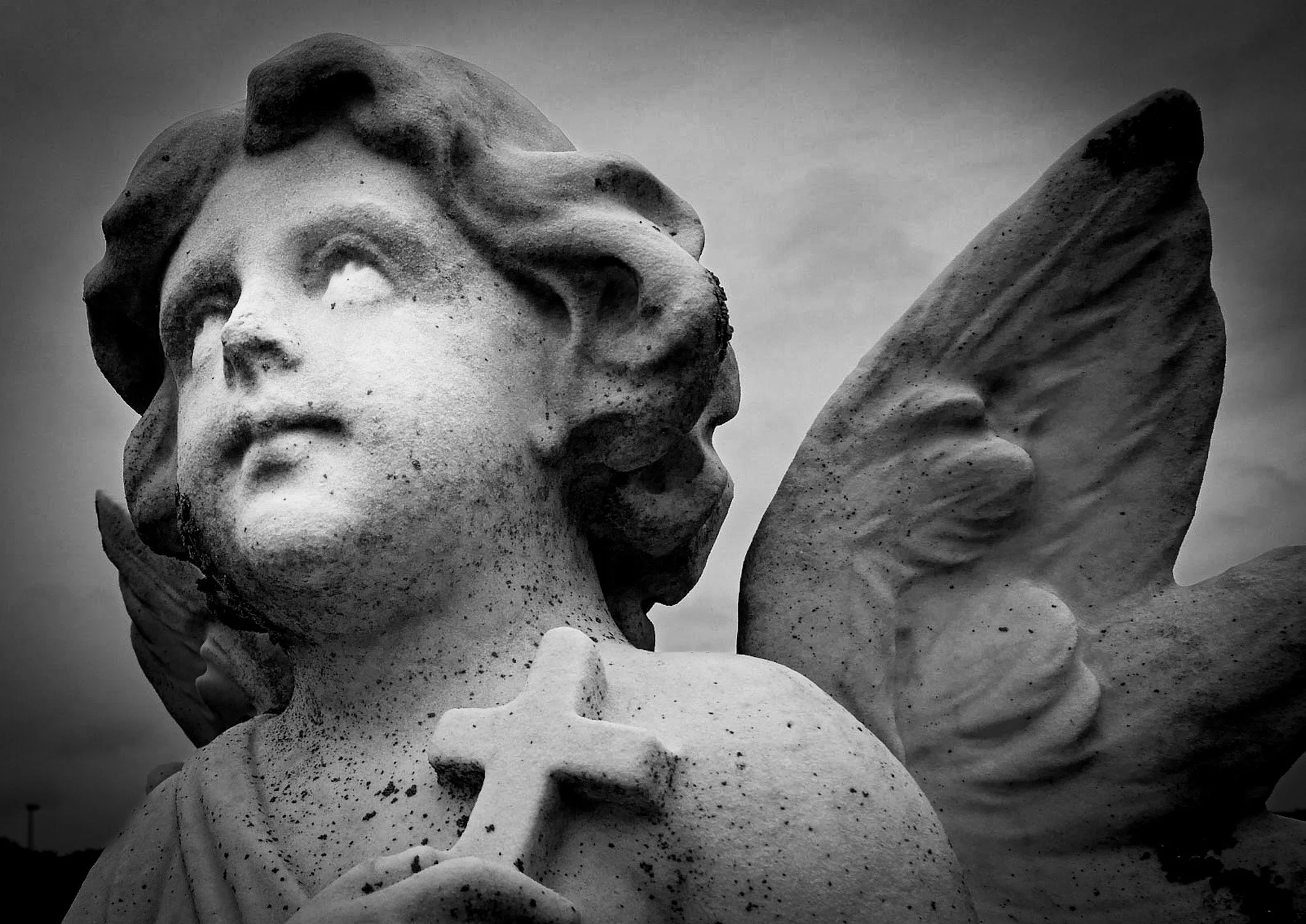 How to Be an Elder in a Time Like This