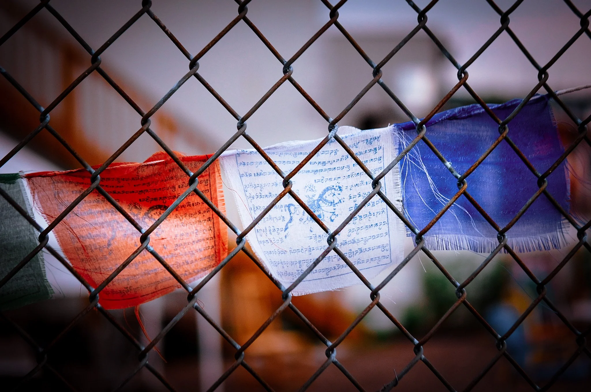 The Logic of Violence