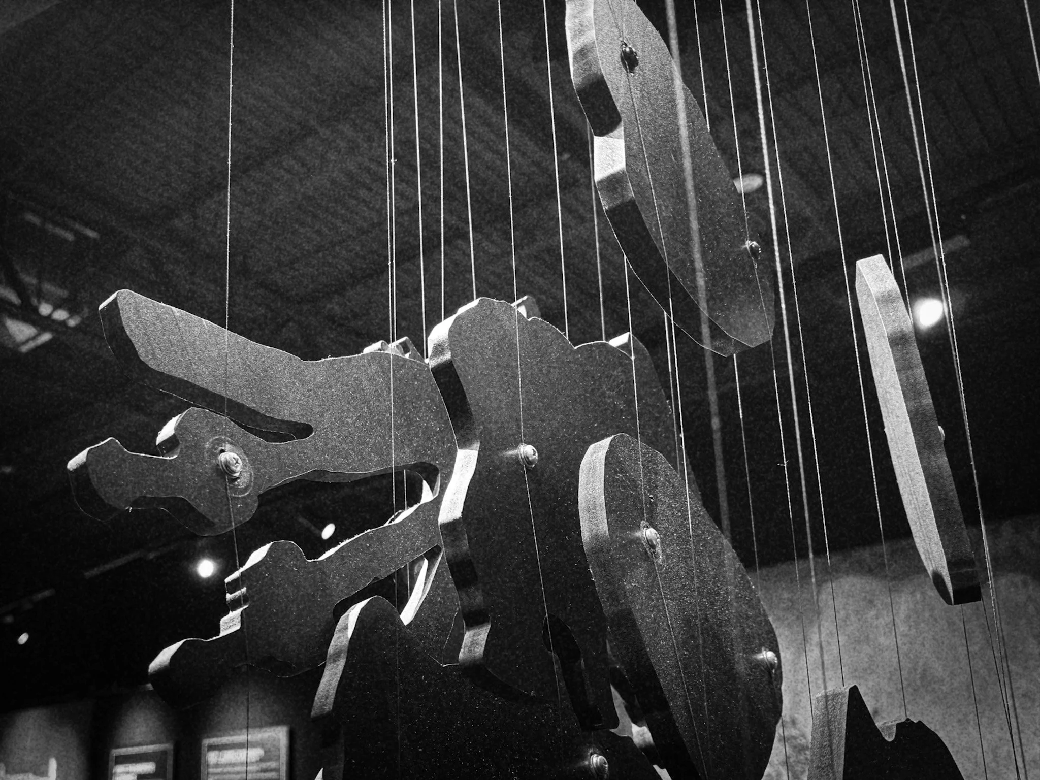 The Practice of Gratitude