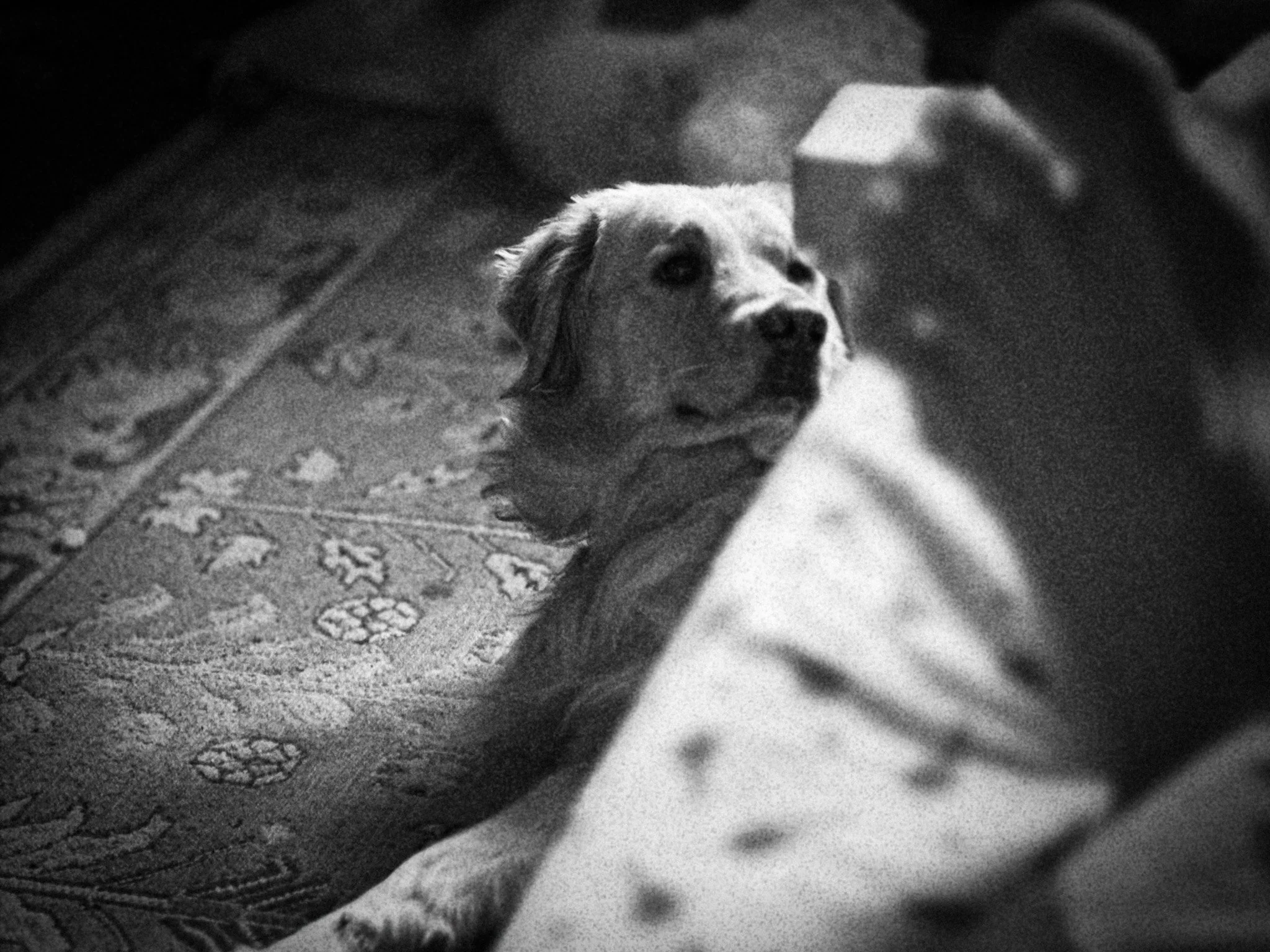 The Tenzo’s Instruction: A Zen Story