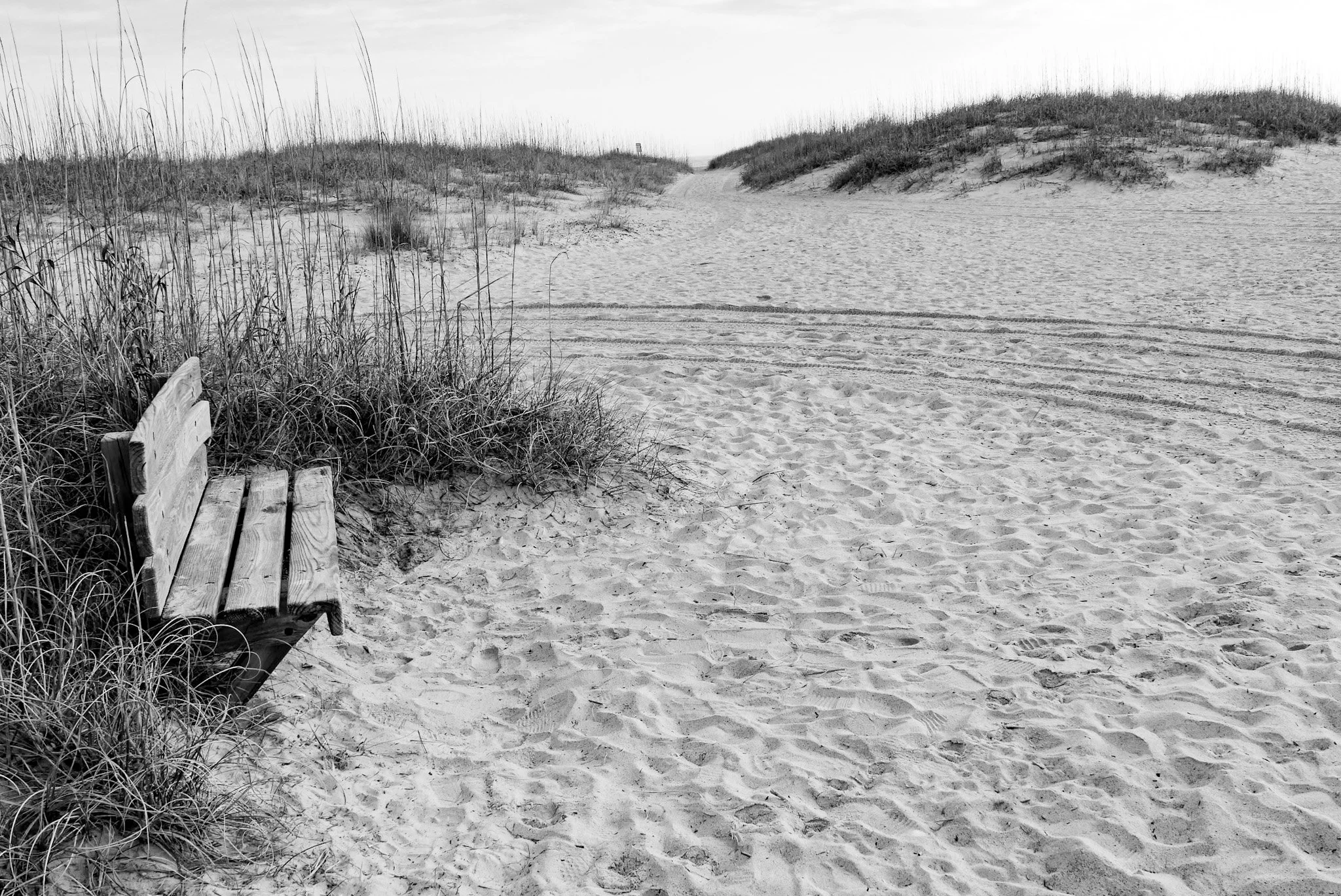The Bench We Somehow Know