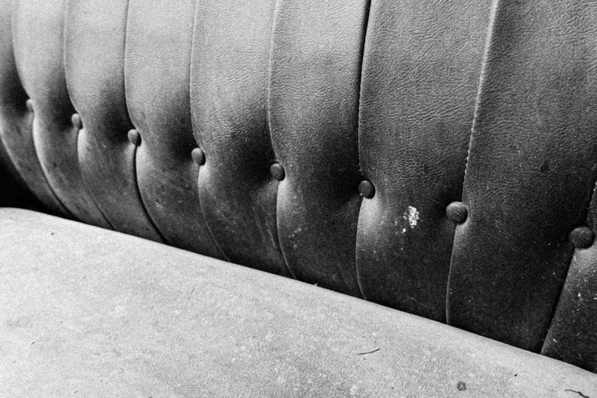 L1022492.JPG