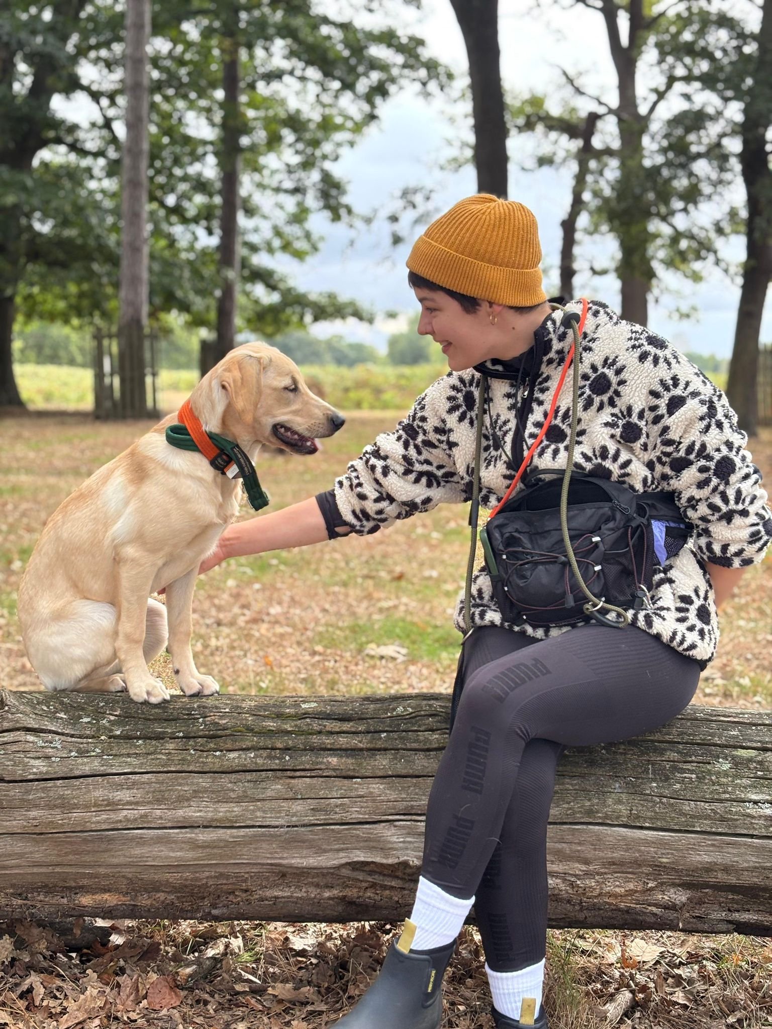 A person wearing a yellow beanie and patterned fleece jacket sitting on a fallen tree trunk in a park, smiling while petting a yellow Labrador puppy with an orange collar.