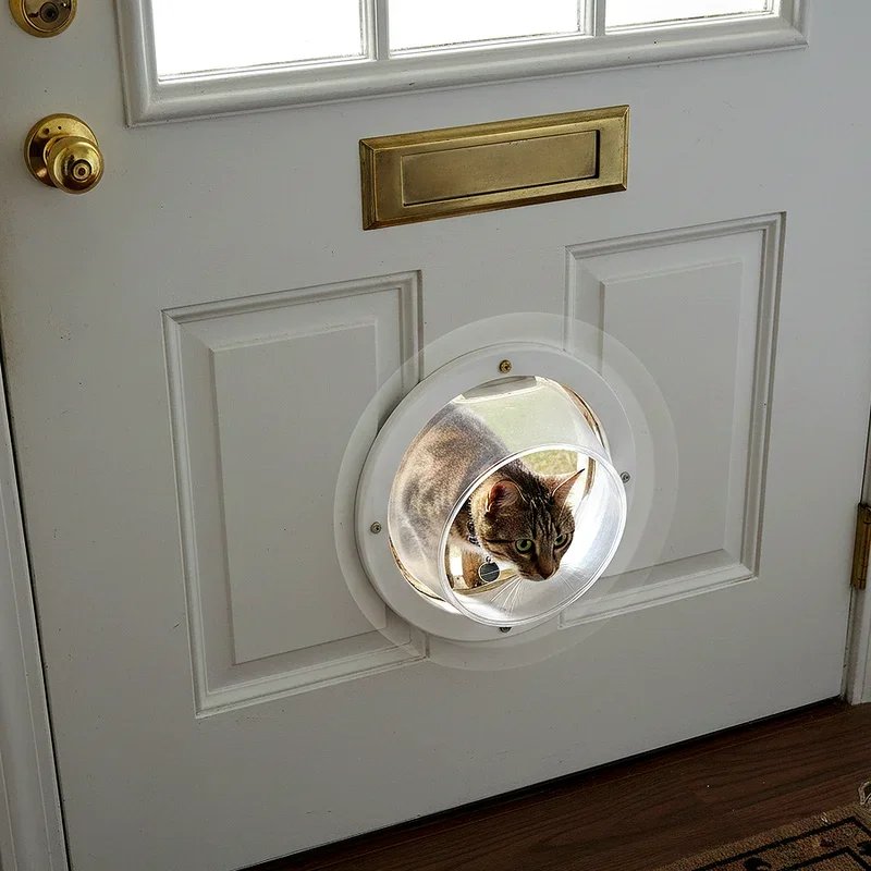 Cat Door Ideas