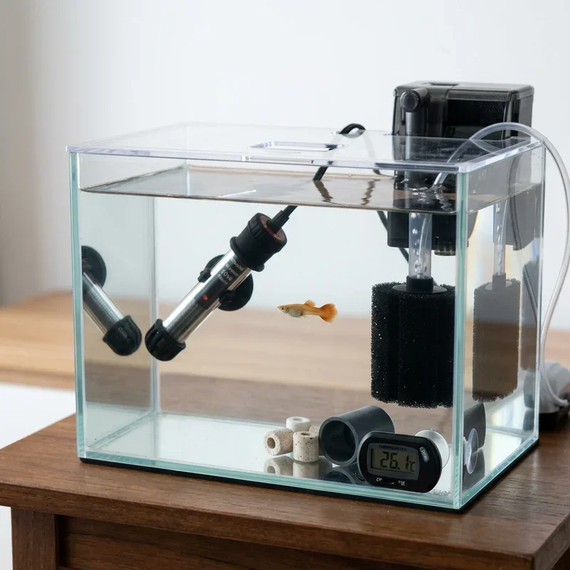 2.5 Gallon Fish Tank Ideas