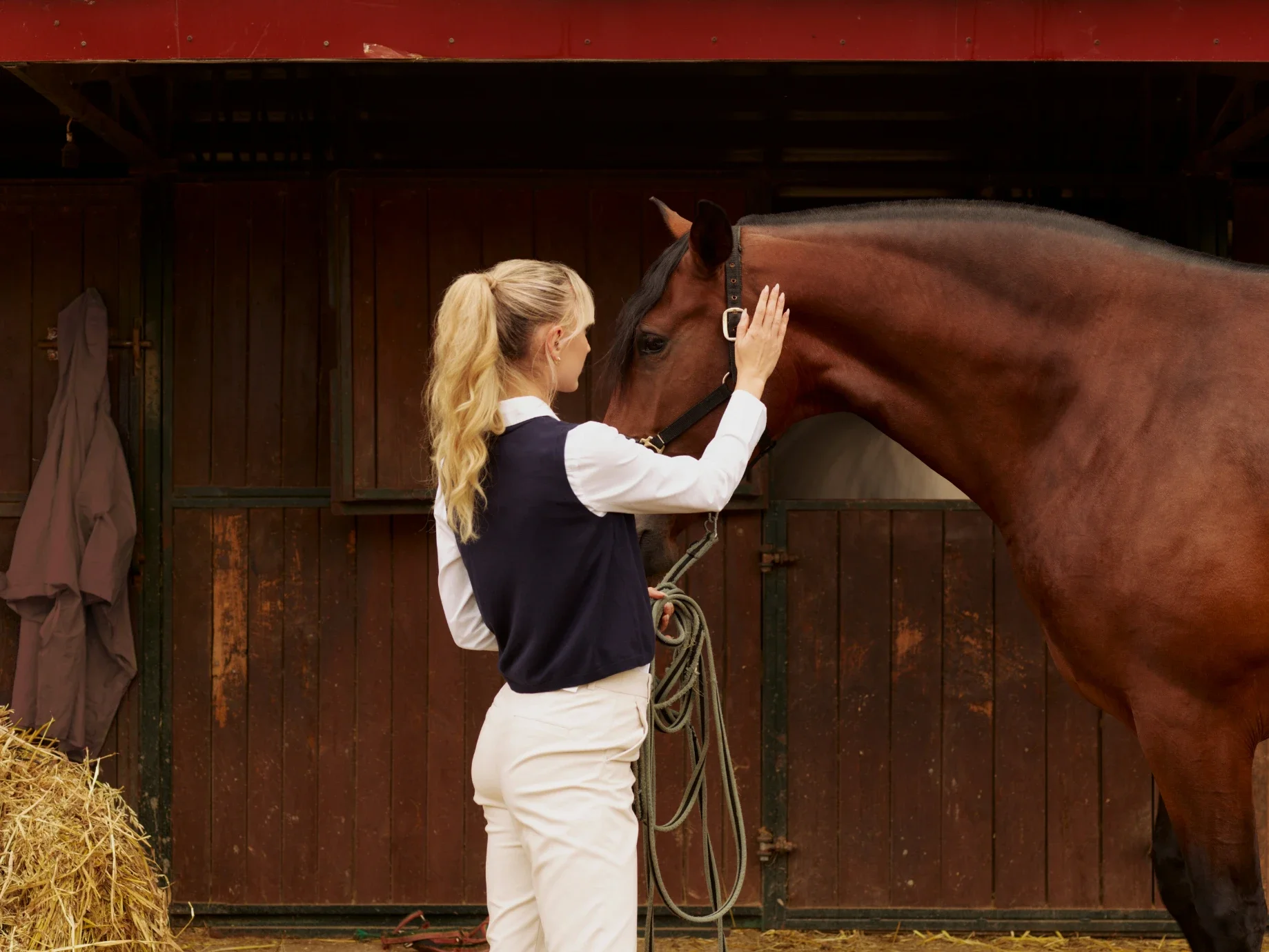 How to Choose the Right Boarding Facility for Your Horse