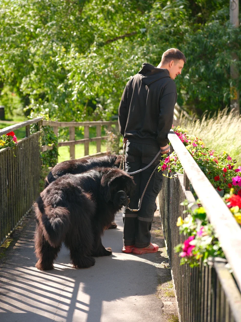 How Dog Handlers Dress for High-Demand Operations