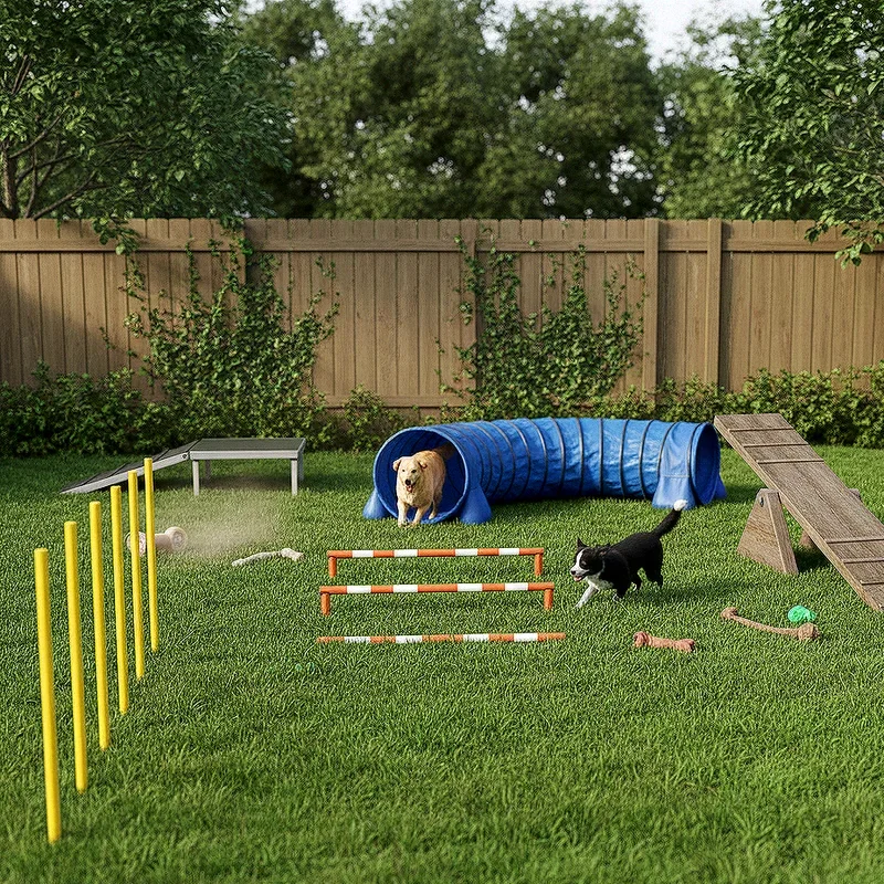 Dog Backyard Ideas