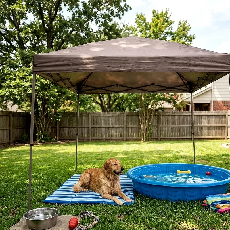 Dog Pool Ideas