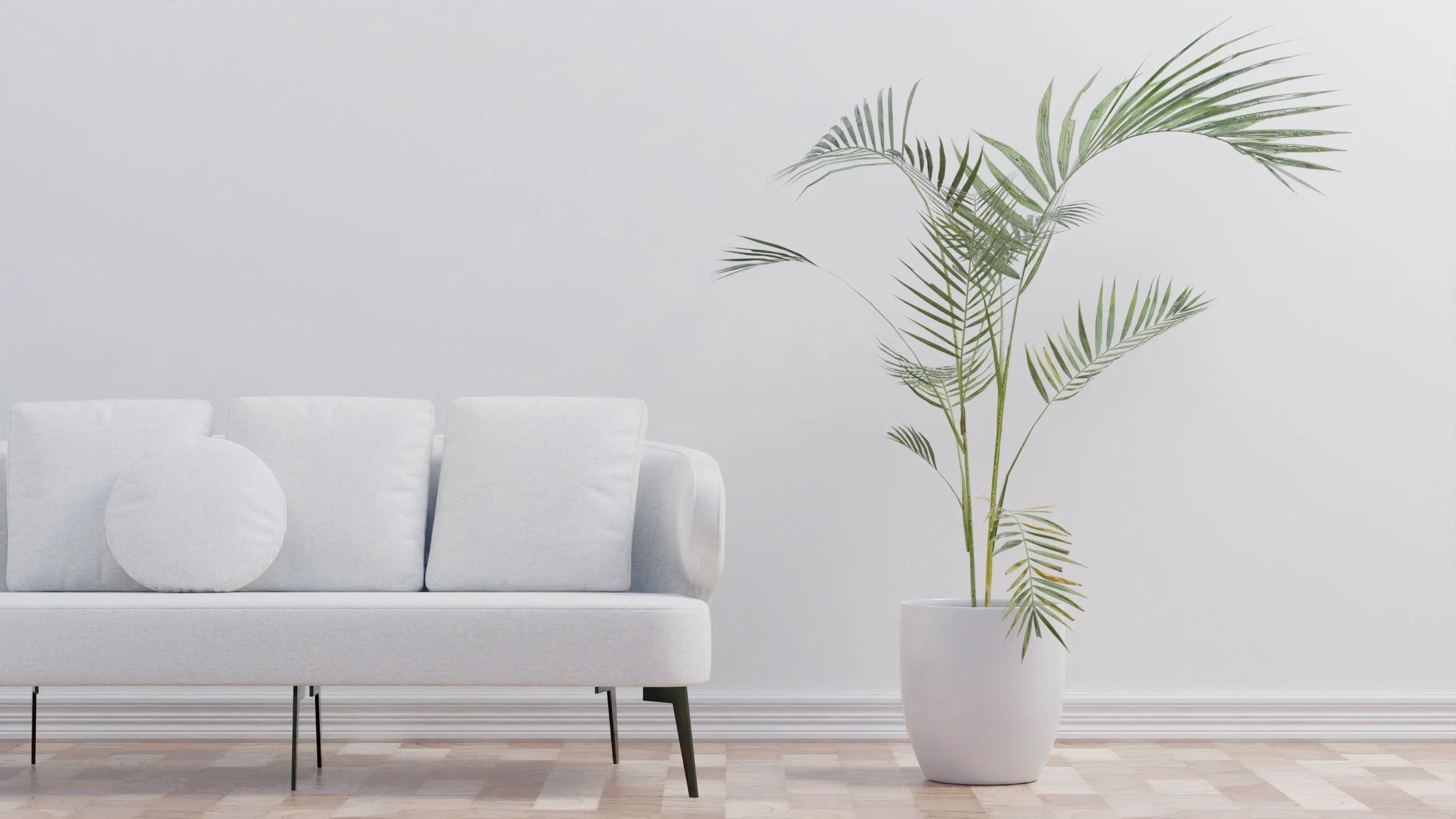 Cat Safe Houseplants: Nontoxic Indoor Greenery Guide