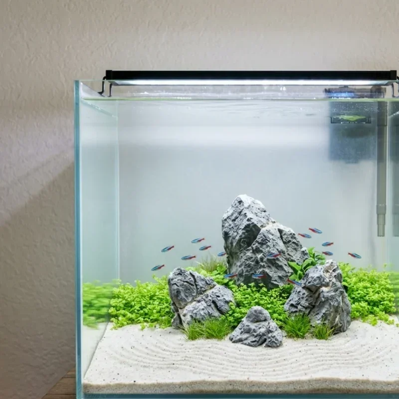 40 Gallon Fish Tank Ideas