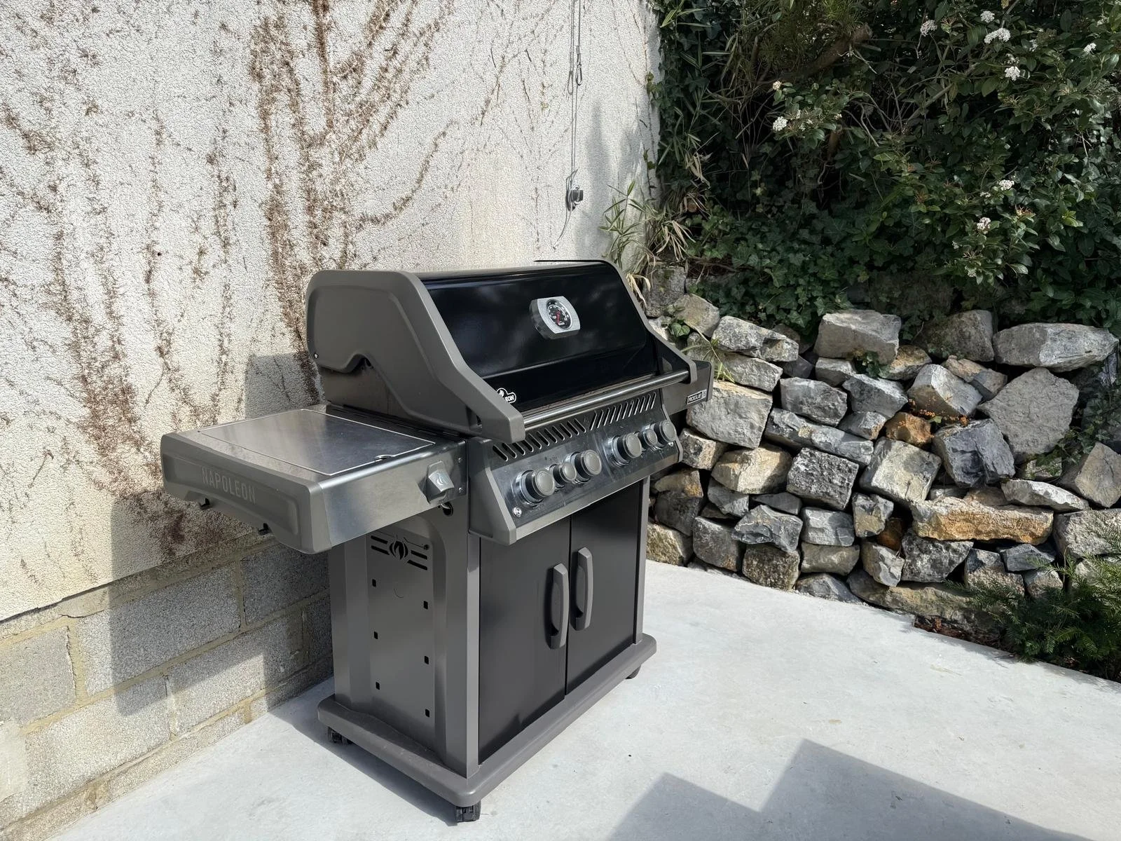 WhatsApp Image 2026-04-08 at 21.26.06 (1).jpeg