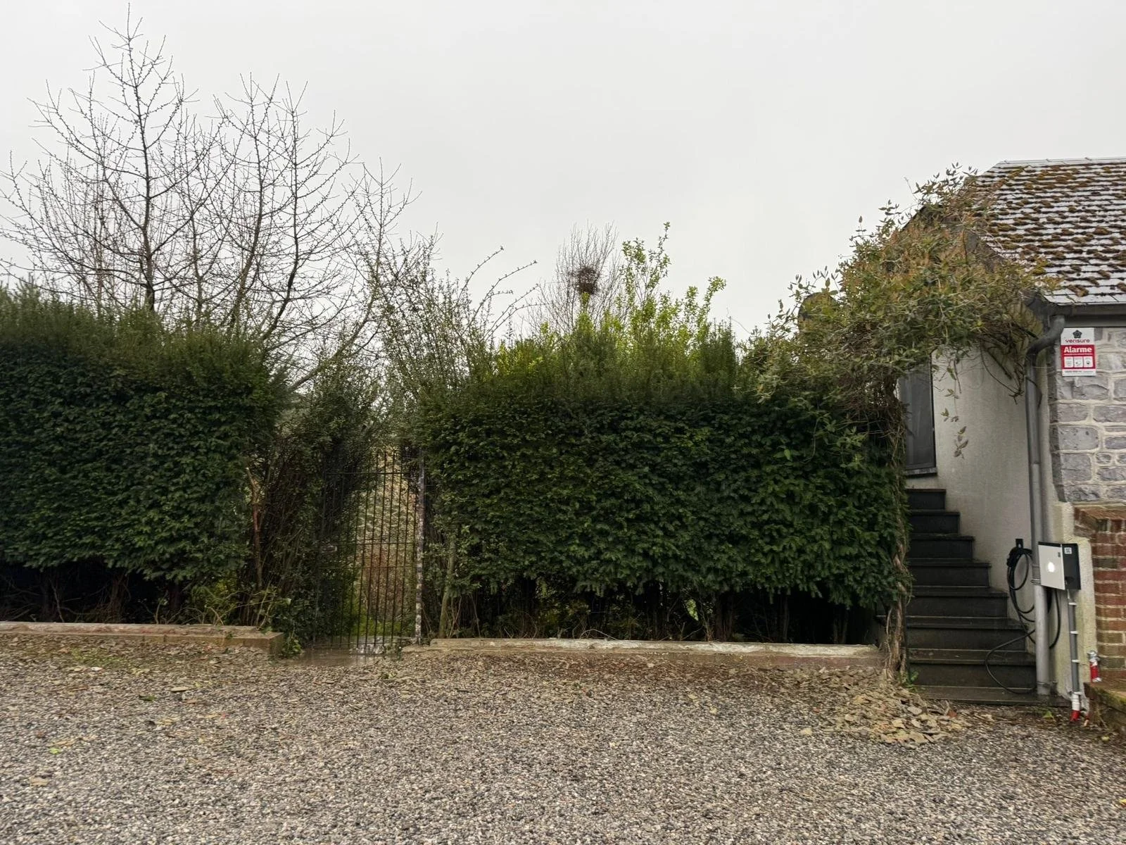 WhatsApp Image 2026-04-08 at 21.15.46.jpeg