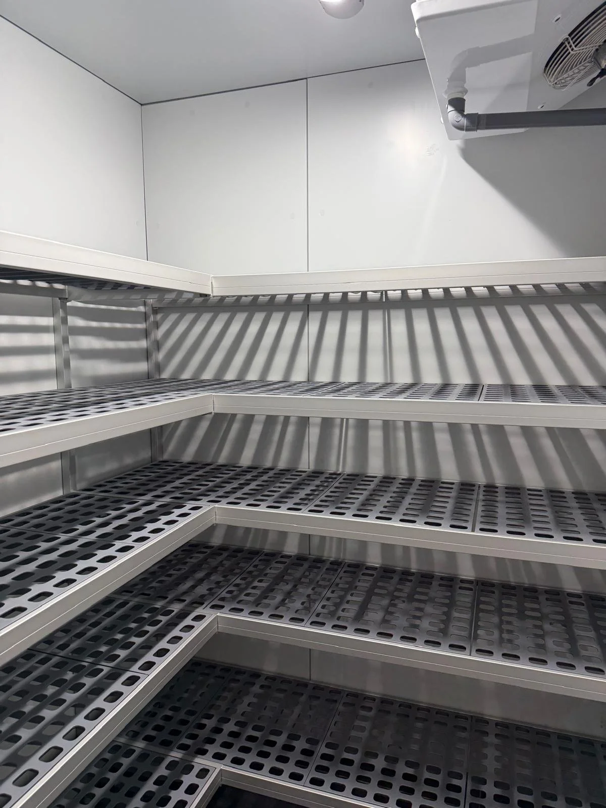 WhatsApp Image 2026-04-08 at 21.26.06 (2).jpeg