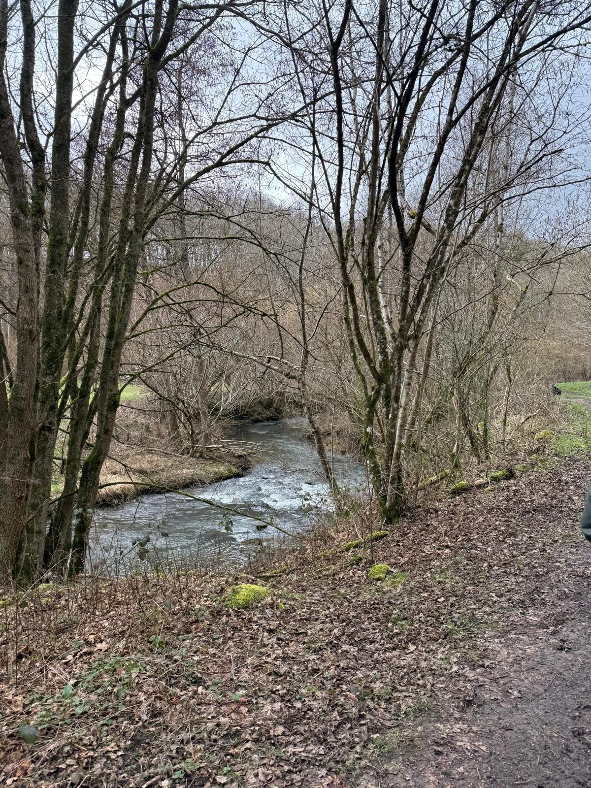 WhatsApp Image 2026-04-08 at 21.10.12 (11).jpeg