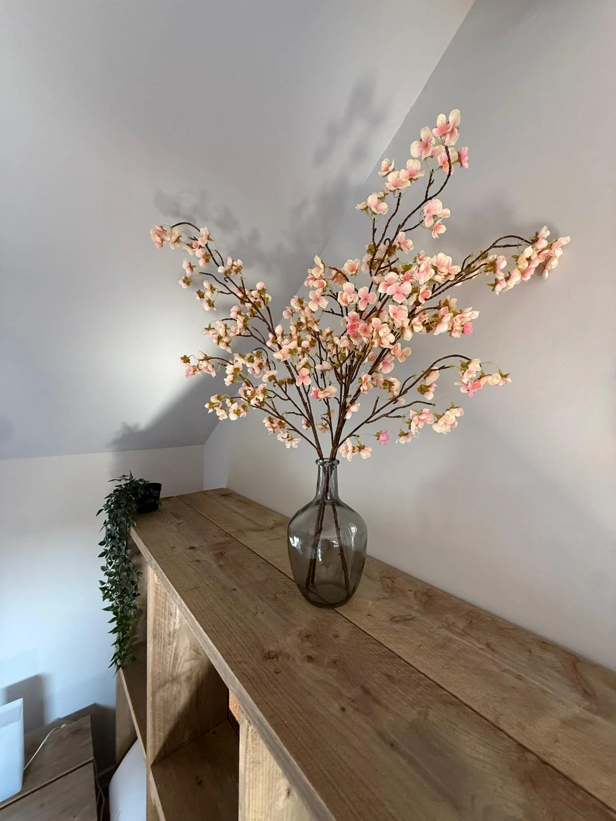 WhatsApp Image 2026-04-08 at 21.10.12 (2).jpeg