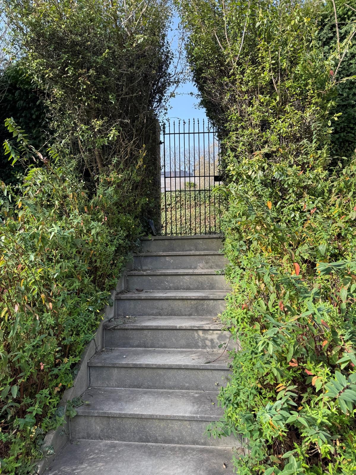 WhatsApp Image 2026-04-08 at 21.10.12 (10).jpeg