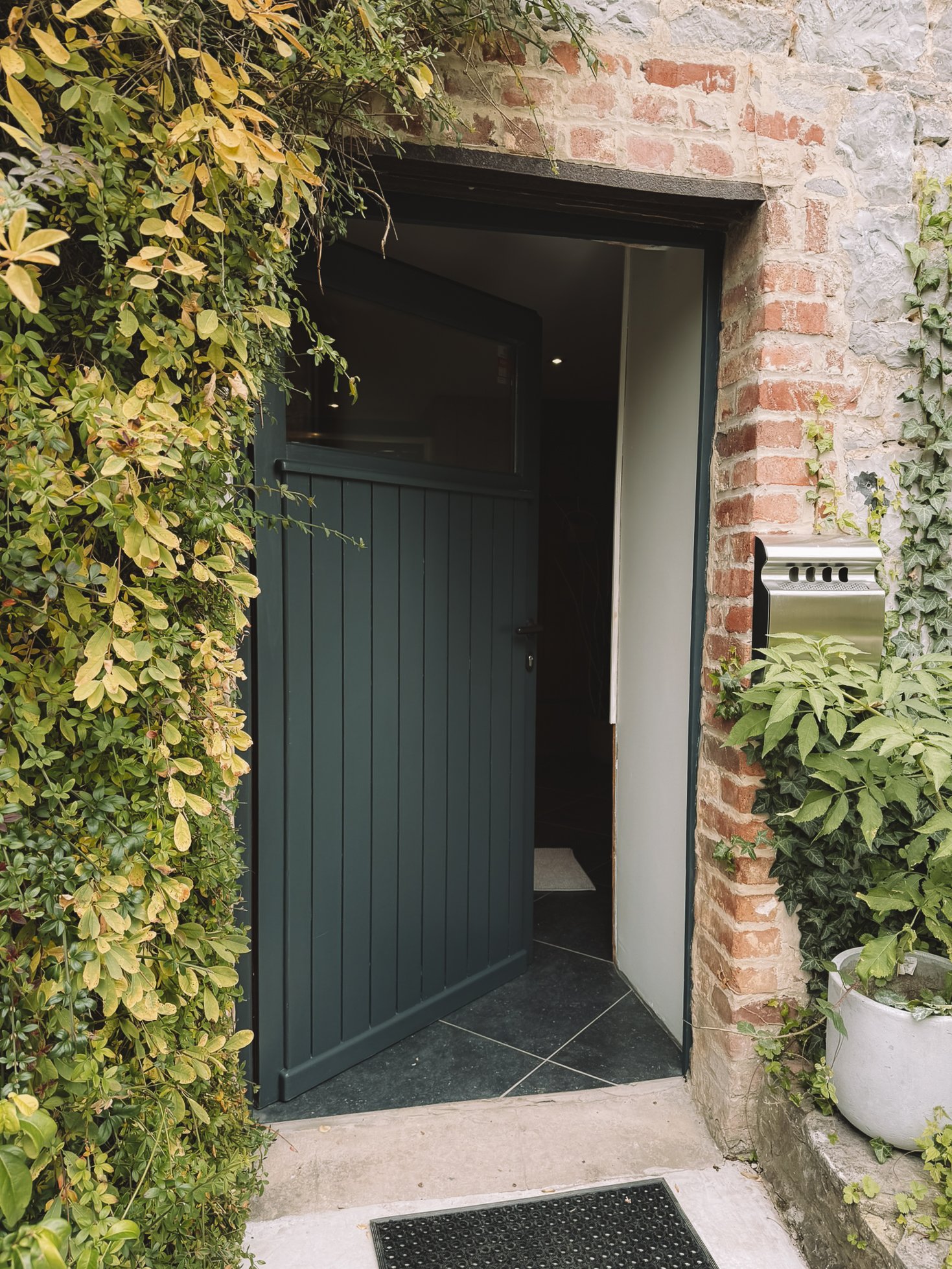 Houten deur met glas in de bovenkant, geopend, vooraanzicht, omgeven door groene planten en een bak met bladeren, op de vloer ligt een zwart matje.