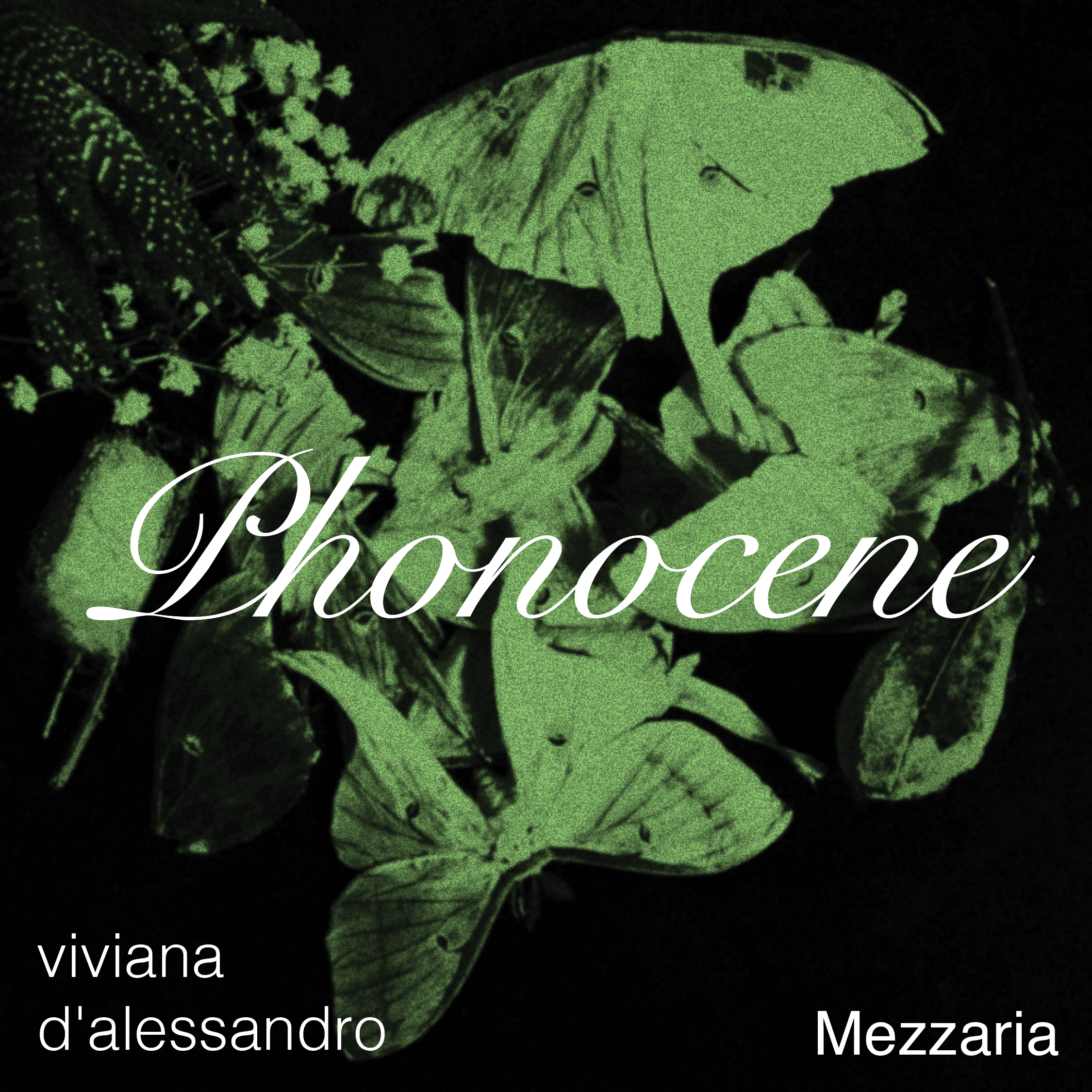 phonocene4.png