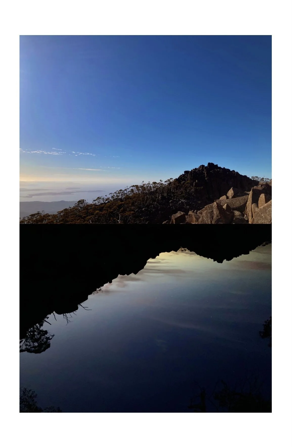 Untitled design 4.jpg