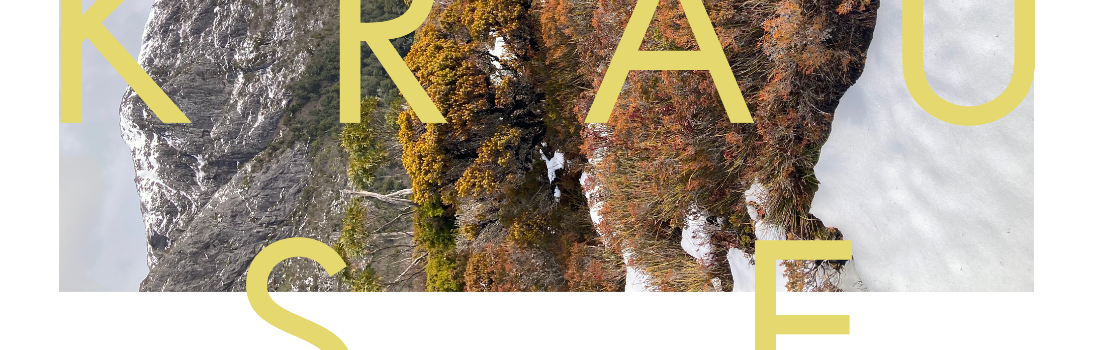 home image 02 small.png