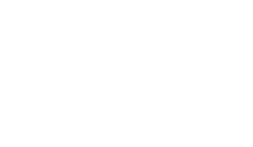 BIG IDEAs Initiative