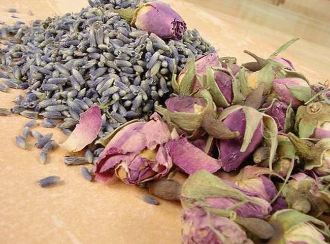 10 Magical Herbs to Enhance Love and Romance