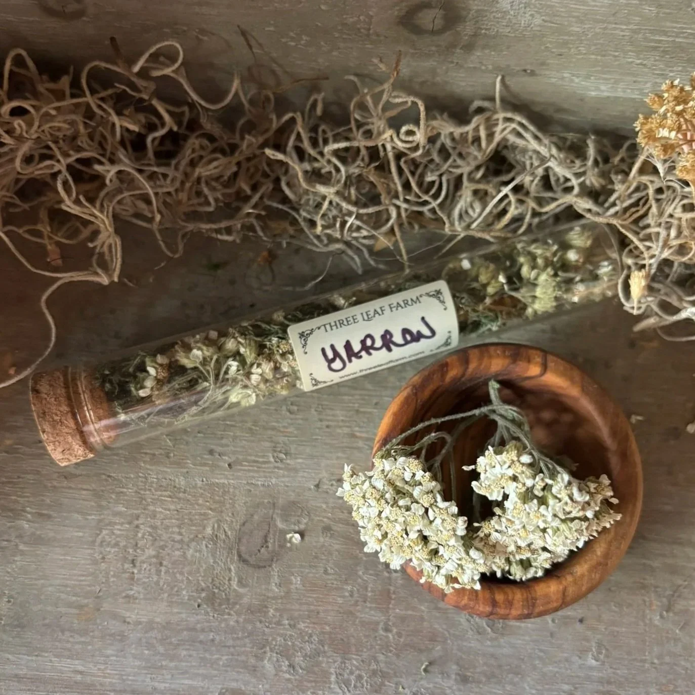 Glass Herb Vial:  Yarrow