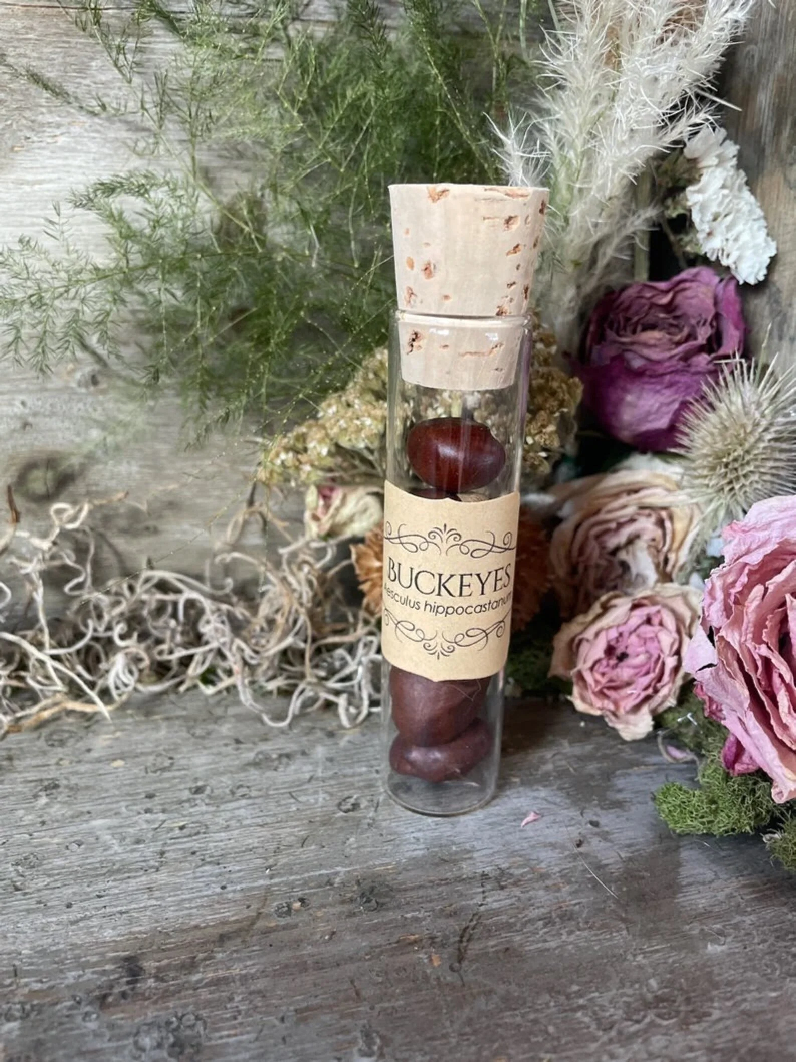 Glass Herb Vial: Buckeye