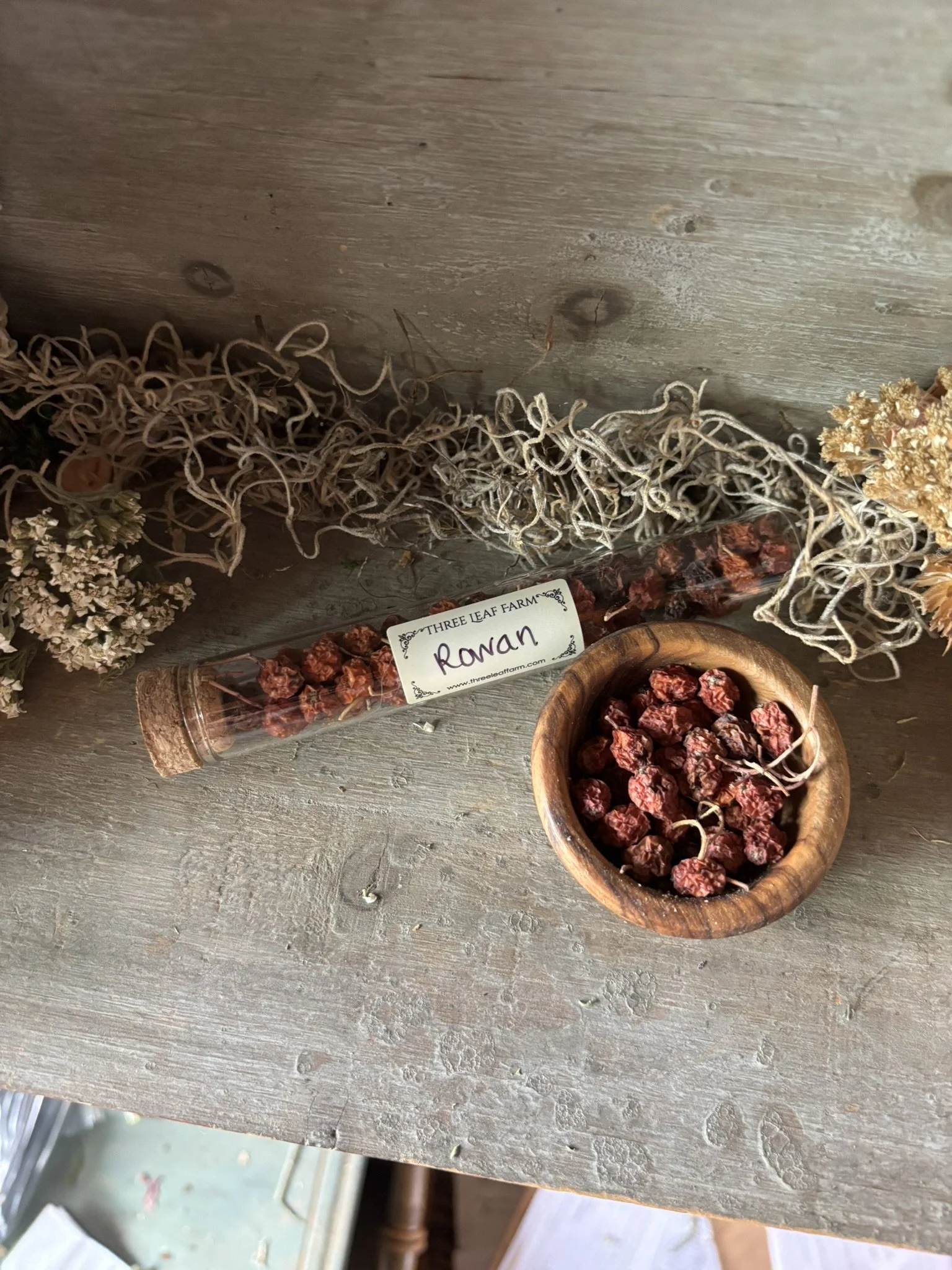 Glass Herb Vial:  Rowan Berry
