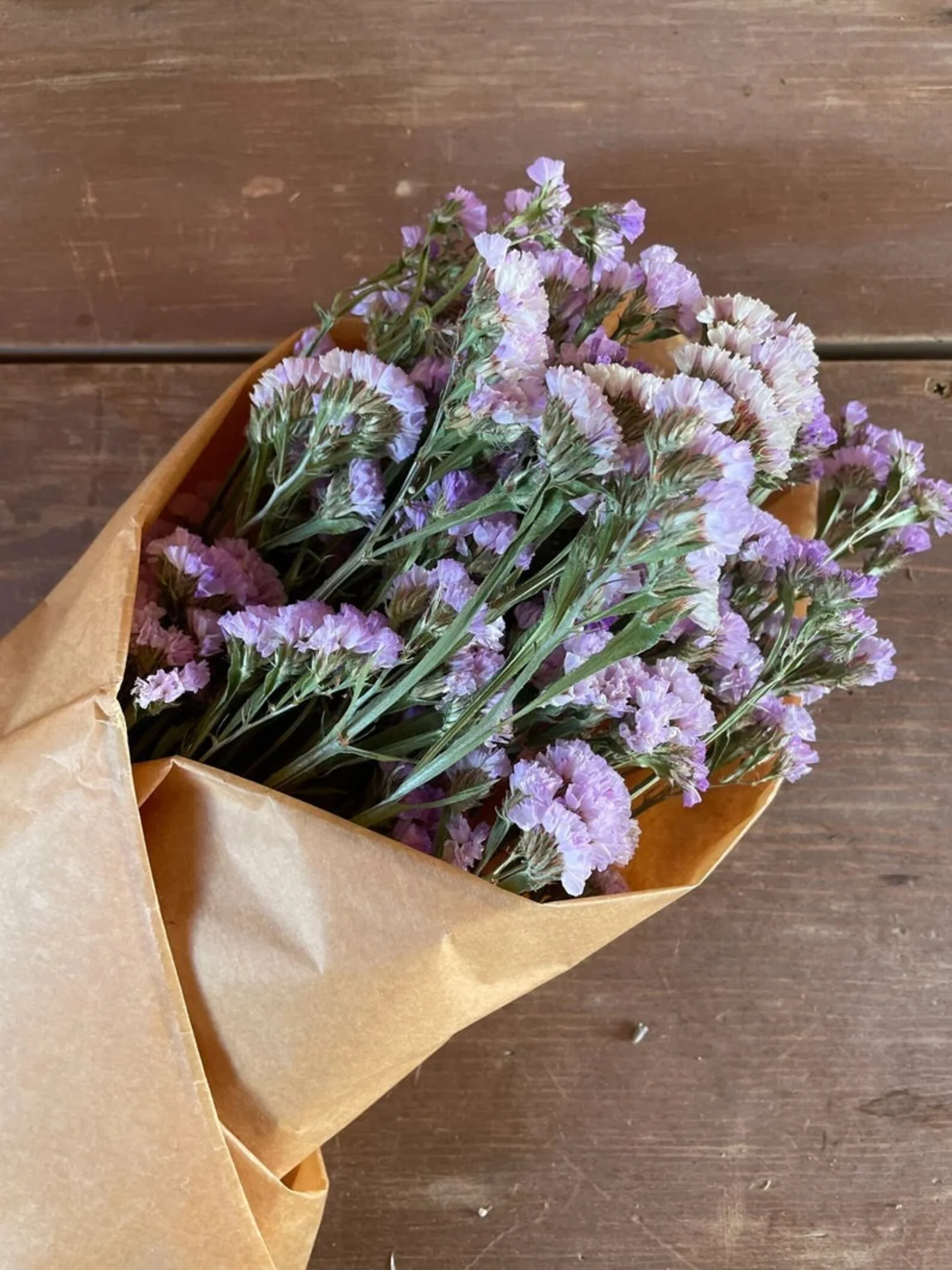 Dried Flowers: Statice  Bundle