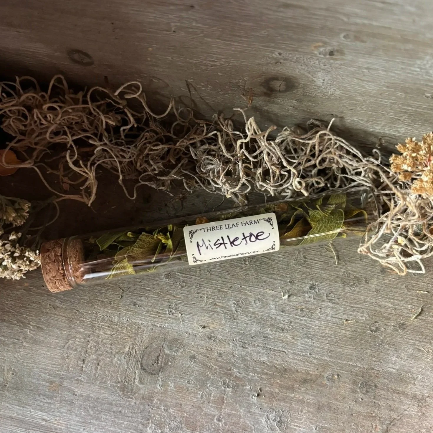 Glass Herb Vial:  Mistletoe