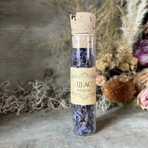 Glass Herb Vial:  Lilac