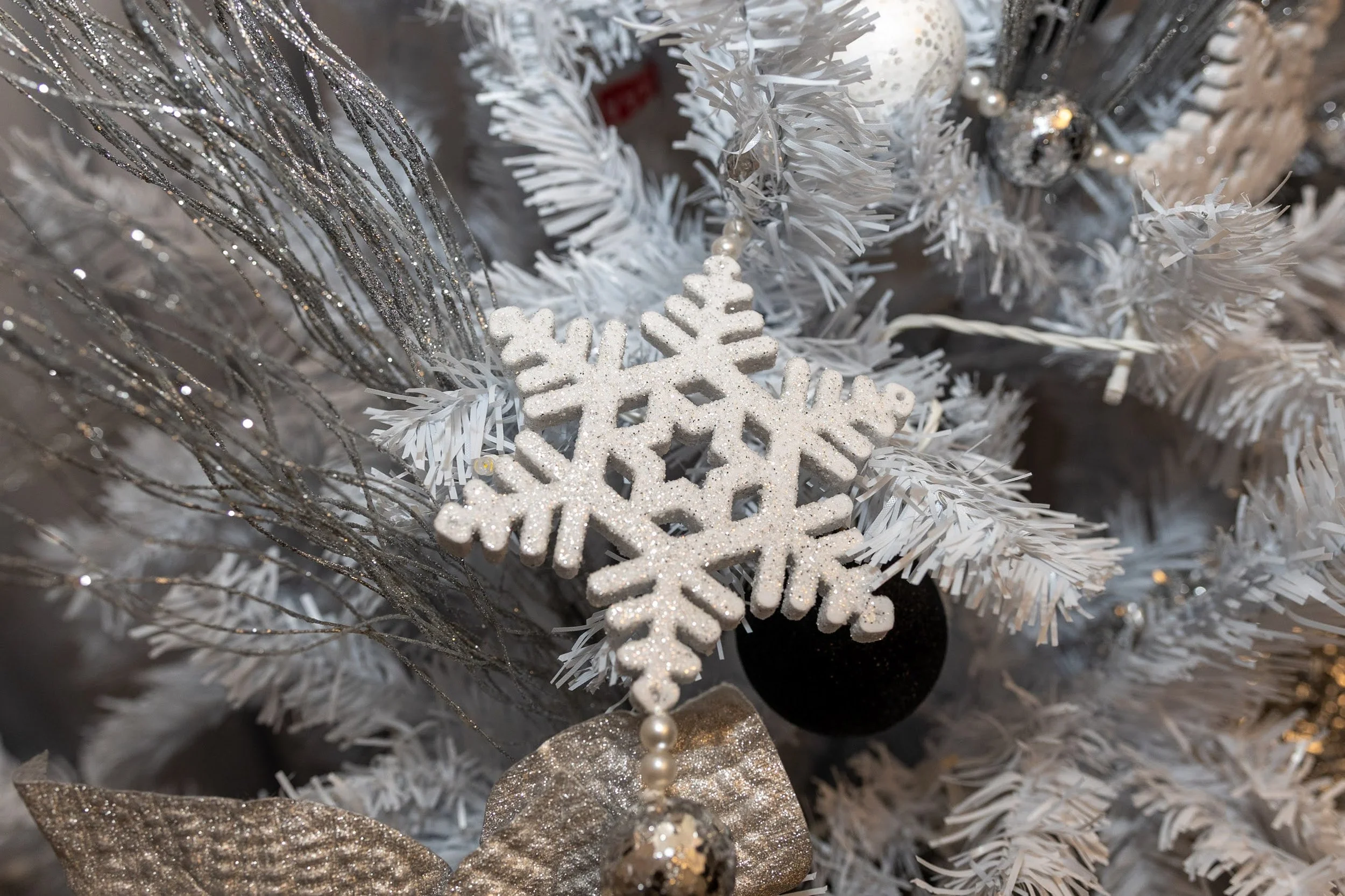 Outside Holiday Gala - Suite 1937