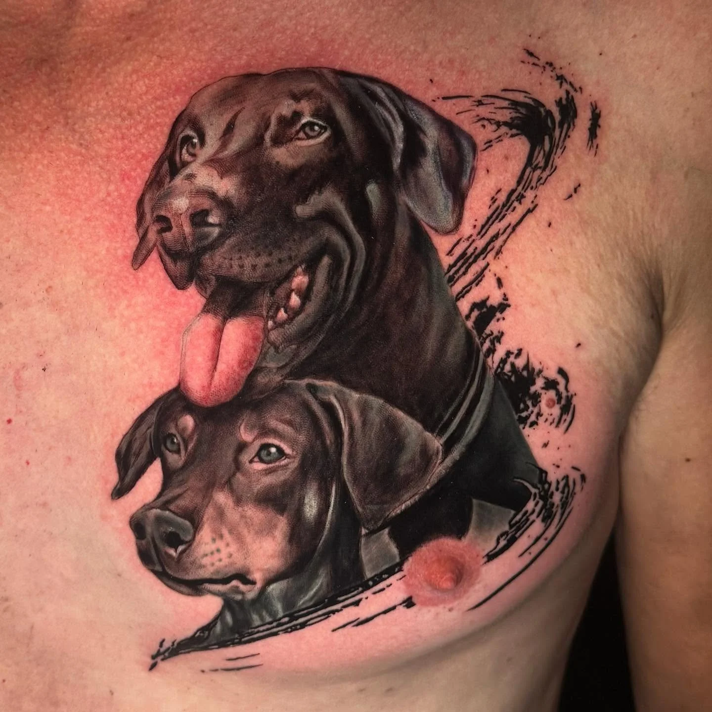 🐾 Two loyal friends, one heart. ❤️ . . . 

Completed this special portrait piece in a single session. ✨ Now they're with their human forever. . .
 
Ready to tell your story? ✍️ DM to book your session.