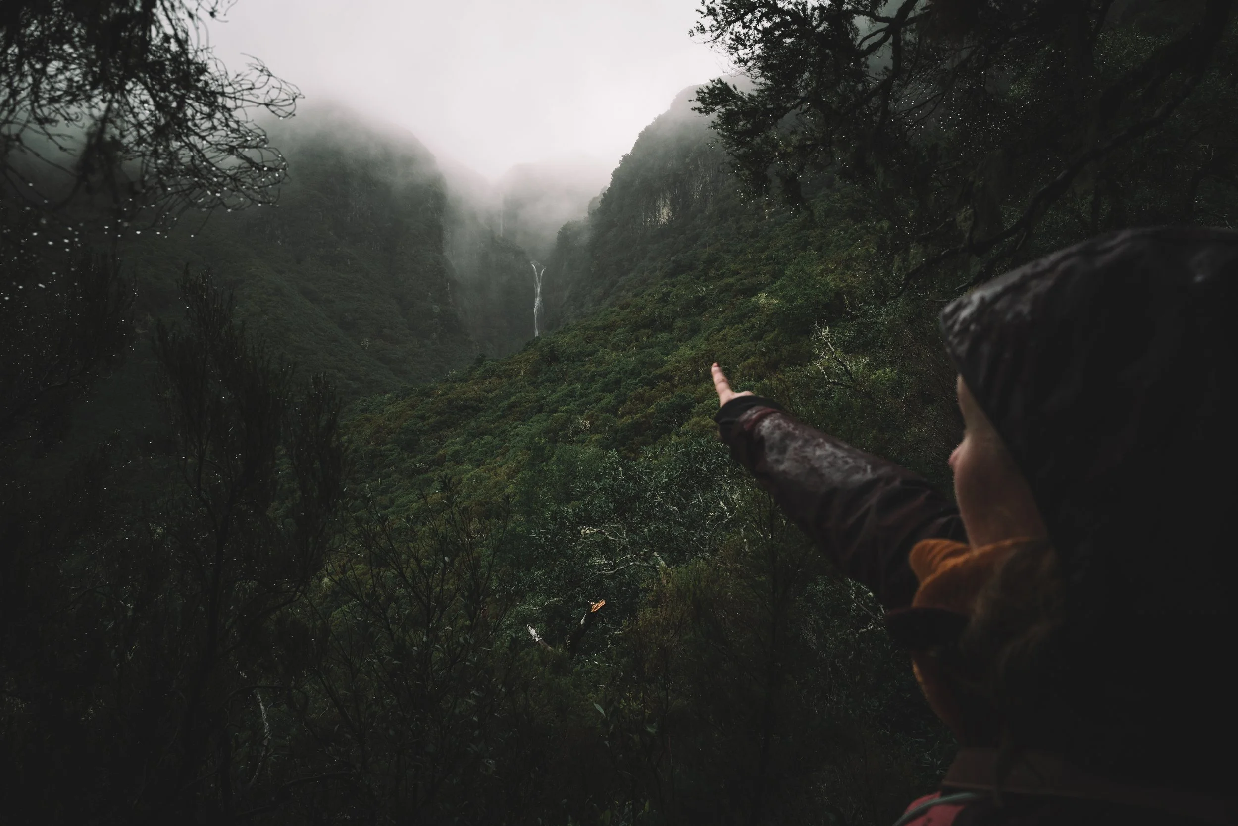 A person in a dark raincoat points towards a lush green mountain with a waterfall in the foggy distance, surrounded by dense trees.